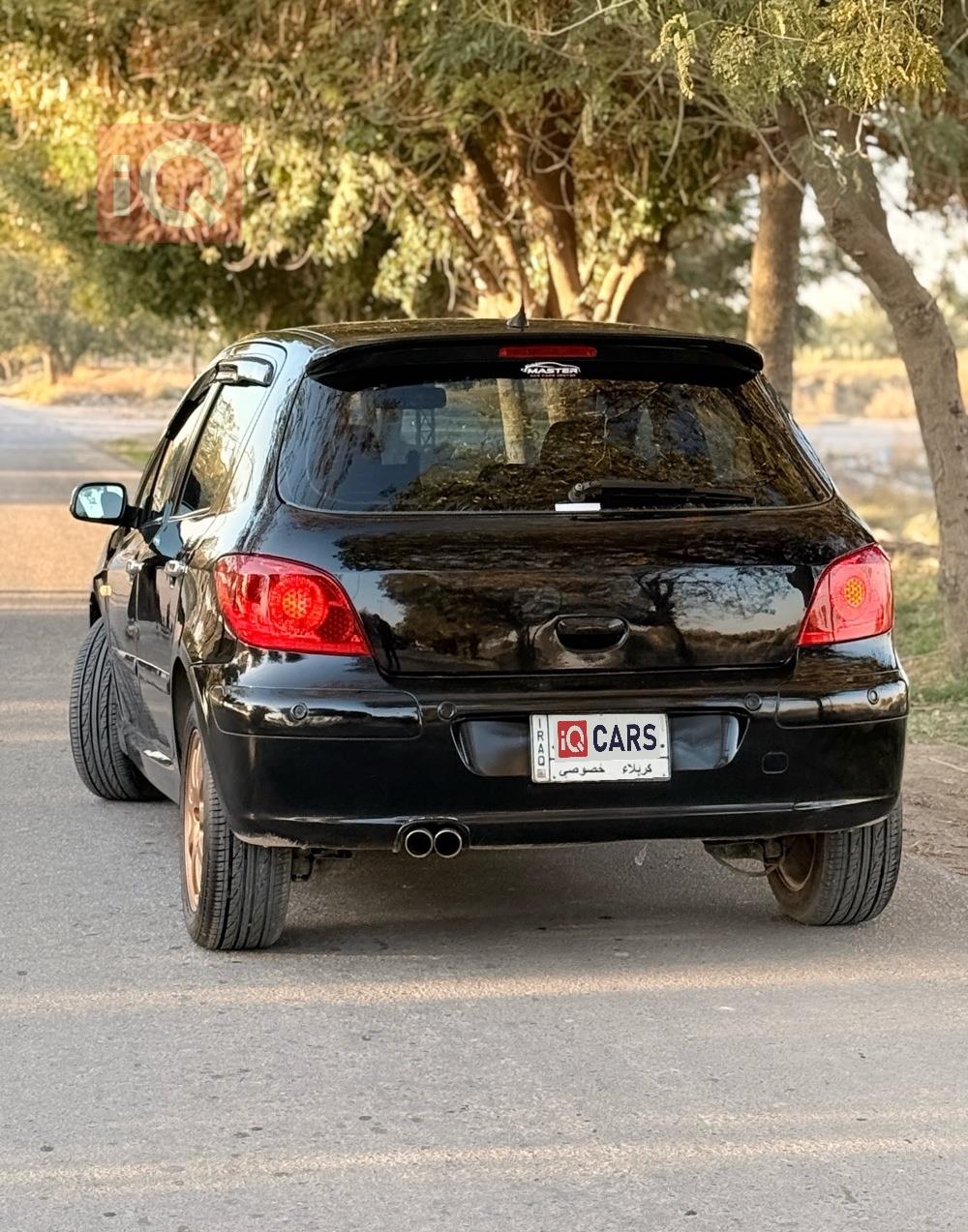 بيجو 307